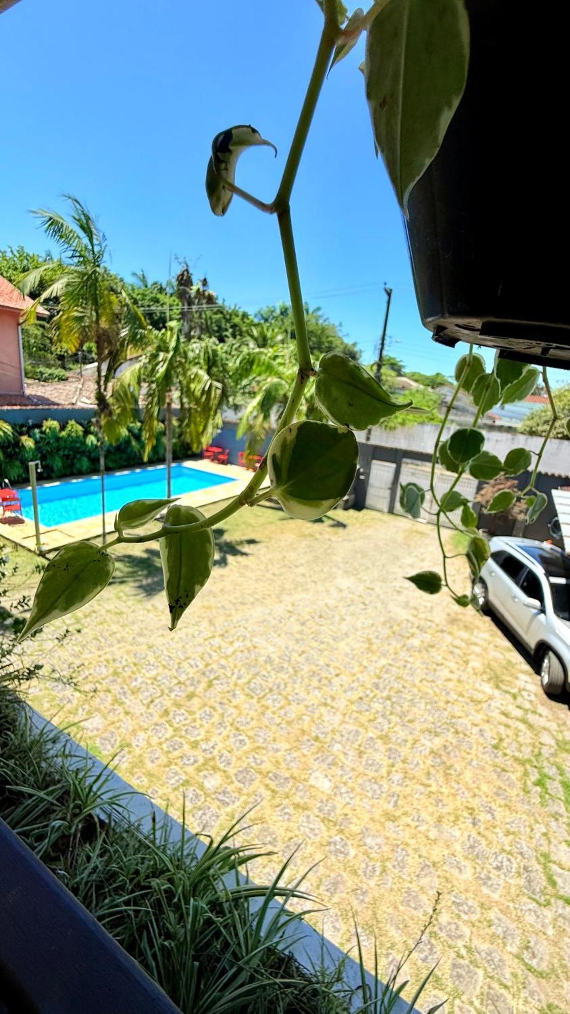 Pousada Jardins Araquari Exteriér fotografie